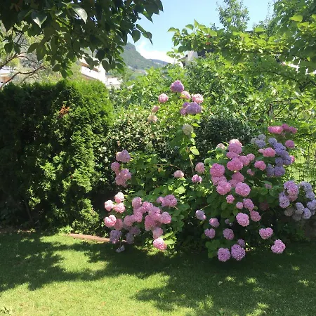 Huber Bolzano