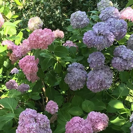 Appartement Huber Bozen