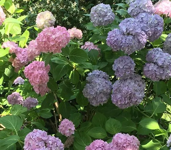 Apartamento Huber Bolzano