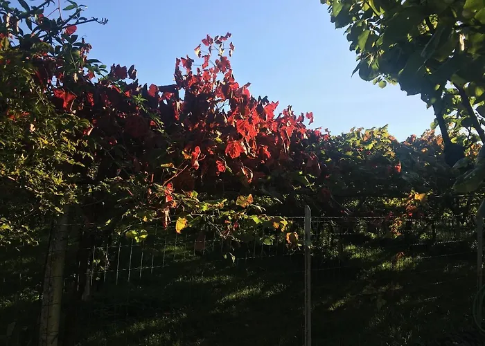 Huber Διαμέρισμα